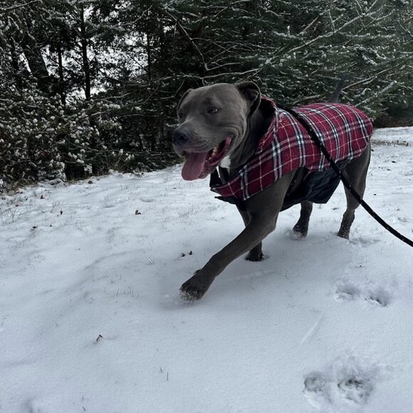 Meet your Posher, Adrianne! - Picture 11 of 16